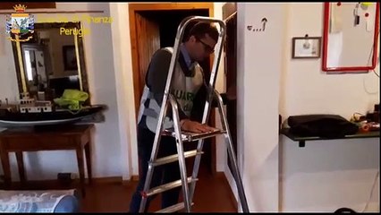 Perugia -Bancarotta, cane della gdf trova i soldi nascosti nell'intercapedine (10.07.19)