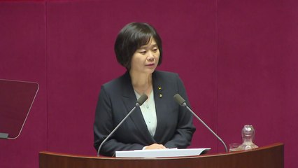 이정미 "정개특위, 8월 선거법 개정안 의결해야" / YTN