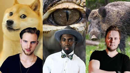 Nasze największe PRZYPAŁY ze ZWIERZAKAMI [PONKI SOCIAL]