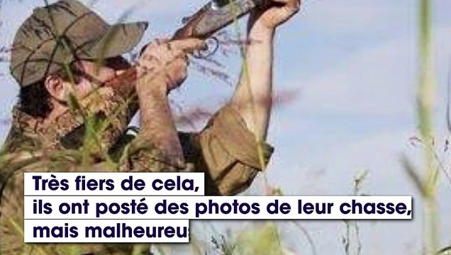 Rhône : les gérants d'un Super U épinglés pour avoir chassé en Afrique