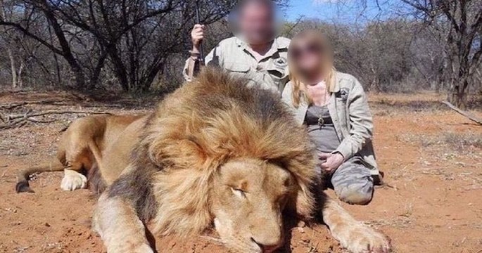 Un couple de gérants d'un magasin Super U démissionne, après la diffusion de photos de leur safari de chasse