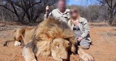 Un couple de gérants d'un magasin Super U démissionne, après la diffusion de photos de leur safari de chasse