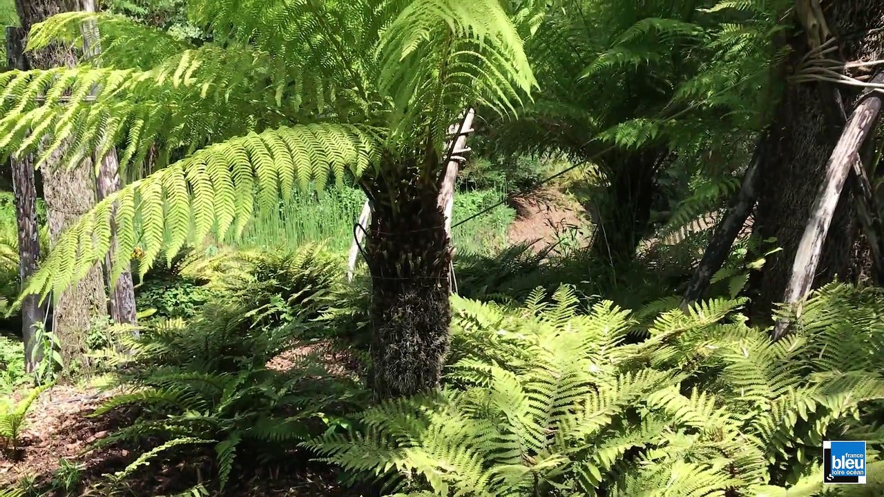 Terra Botanica