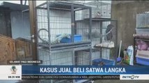 Puluhan Satwa Langka Berhasil Diamankan BKSDA Papua Barat