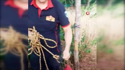 8 metrelik kuyuya düşen kediyi itfaiye ekipleri çıkarttı