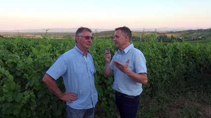 Réduction des doses phytosanitaires en Bourgogne sur vigne 71