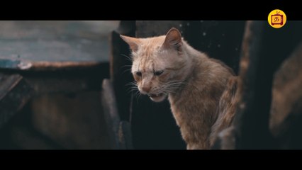 இதுவரை யாரும் பார்த்திராத அழகிய டெல்லி..!