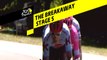 L'échapée / The breakaway - Étape 5 / Stage 5 - Tour de France 2019