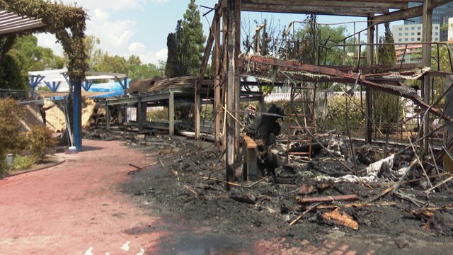 El Oceanogràfic recupera la normalidad tras un aparatoso incendio
