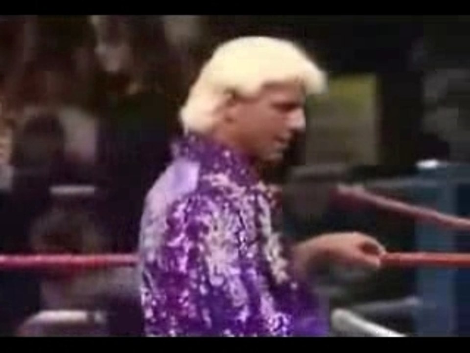 The Undertaker vs Ric Flair WWF Title 1 of  2