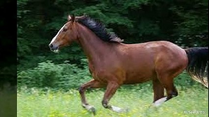 제천출장안마 ト출장샤워う ｛카톡UV73｝제천전지역출장안마 제천오피걸 제천출장샵 제천출장안마 제천콜걸샵 출장마사지モムり