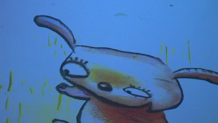 "사이좋게 지내는 토끼가 좋아요" / YTN