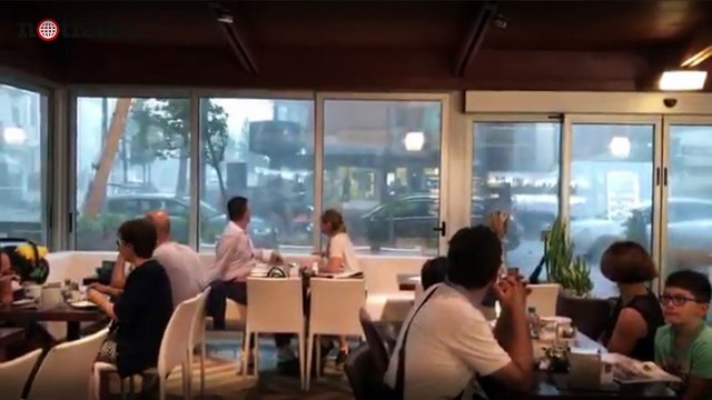 Milano Marittima, tromba d'aria sradica gli alberi | Notizie.it