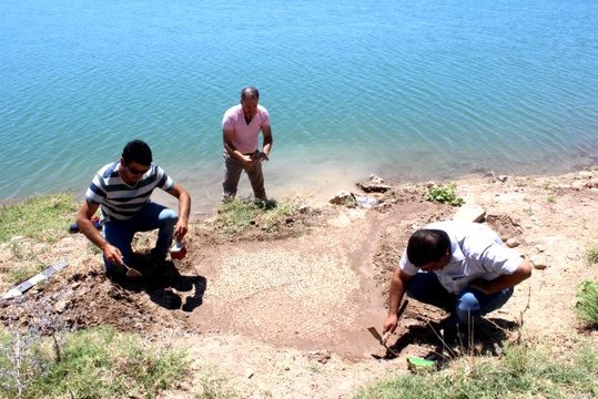 Dalgaların dövdüğü kıyıda 6. yüzyıla ait mozaik bulundu