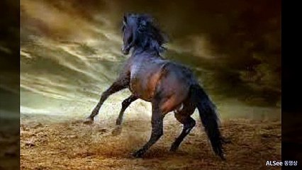 당진출장안마 ト출장샤워う ｛카톡UV73｝당진전지역출장안마 당진오피걸 당진출장샵 당진출장안마 당진콜걸샵 출장마사지モムり