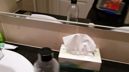 Spider vs Cockroach Battle in the Bathroom