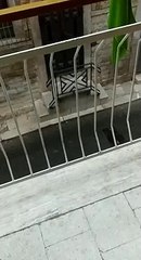 Pioggia e grandine a Terlizzi - 10 luglio 2019