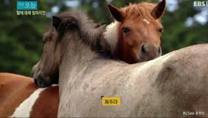 완주출장안마 ト출장샤워う ｛카톡UV73｝완주전지역출장안마 완주오피걸 완주출장샵 완주출장안마 완주콜걸샵 출장마사지モムり