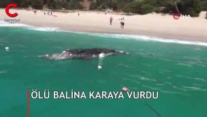 Yer: Ölüdeniz... Görenler hemen cep telefonuna sarıldı