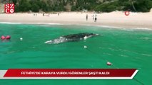 Fethiye’de karaya vurdu görenler şaştı kaldı