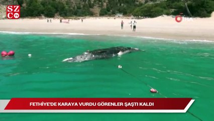 Fethiye’de karaya vurdu görenler şaştı kaldı