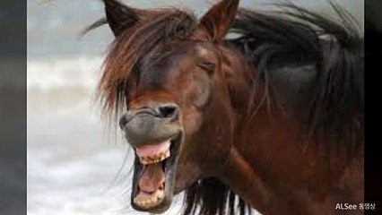 진도출장안마 ト출장샤워う ｛카톡UV73｝진도전지역출장안마 진도오피걸 진도출장샵 진도출장안마 진도콜걸샵 출장마사지モムり