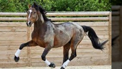 의성출장안마 ト출장샤워う ｛카톡UV73｝의성전지역출장안마 의성오피걸 의성출장샵 의성출장안마 의성콜걸샵 출장마사지モムり