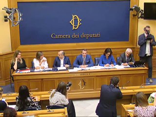 Roma - Industria – Conferenza stampa di Mariastella Gelmini (10.07.19)