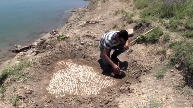 Adıyaman'da milattan sonra 6'ıncı yüzyıla ait mozaik bulundu
