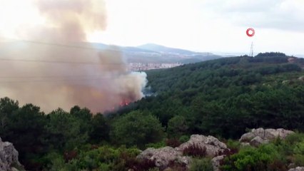 Aydos ormanında korkutan yangın