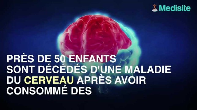 47 décès liés aux toxines du litchi en Inde