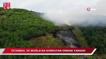İstanbul ve Muğla’da korkutan orman yangını