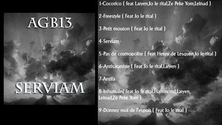 Promotion album AgB13 