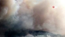 Dalaman'da orman yangını: Havadan ve karadan müdahale ediliyor