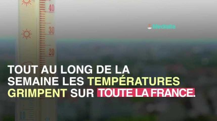 Canicule : les signes que vous êtes en danger de mort