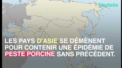 L'épidémie de peste porcine se propage dans le monde