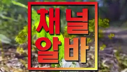 여성알바구직여성알바정보제공 급구알바 ┗ 채널알바닷COM ┛ 유흥유흥구인 노래보조 여성인재정보