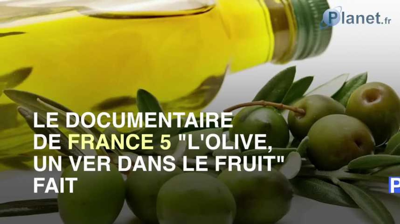 Des fausses olives noires sont en circulation