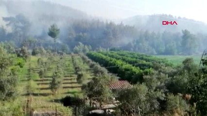 MUĞLA Dalaman'da orman yangını