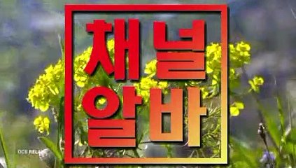 여름알바 ∋ 채널알바닷COM ∈ 구로단란주점 청주아로마 마사지알바 대구단란주점