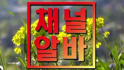 전라도단란주점 길동아로마 ┏ 채널알바쩜컴 ┓ 강남아로마 창동건마 역삼단란주점