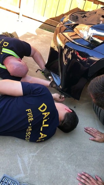 Four Firemen Save a Feline