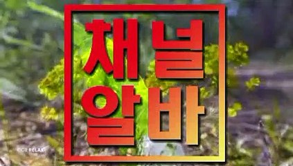 ∋ 채널알바쩜컴 ∈ 남양주단란주점 강서단란주점 상봉단란주점 목동풀싸롱 다방