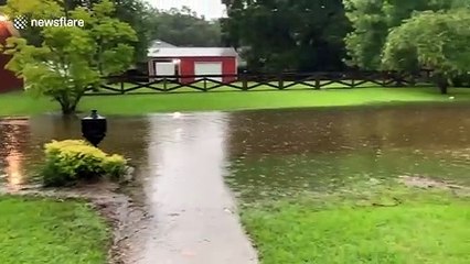 Flash flood emergency declared in New Orleans as streets overrun with water