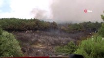 Aydos ormanında korkutan yangın
