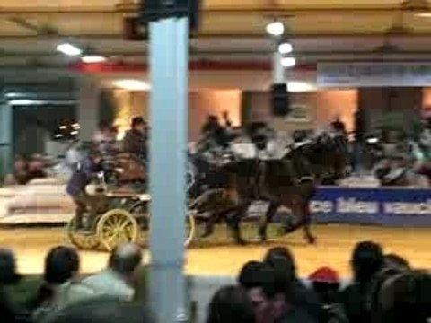 Bodega Salon Cheval passion Avignon