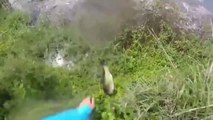 Un pêcheur ramasse un poisson mais n'a pas vu ce qui se cache dans ces eaux... Terrifiant