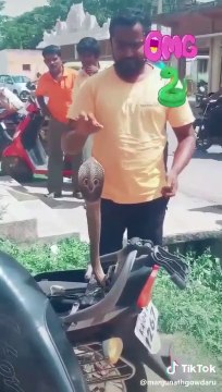 Ce qu'il découvre dans son scooter est terrifiant... Gros serpent