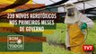 239 novos agrotóxicos nos primeiros 6 meses de governo Bolsonaro