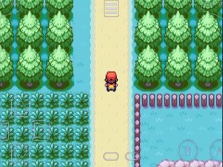 Pokemon Red Fire First Part